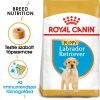 ROYAL CANIN LABRADOR JUNIOR - Labrador Retriever kölyök kutya száraz táp  (3 kg)