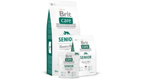 Brit Care Senior Lamb 1kg