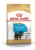 ROYAL CANIN YORKSHIRE TERRIER JUNIOR - Yorkshire Terrier kölyök kutya száraz táp  (1,5 kg)