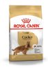 ROYAL CANIN COCKER ADULT - Cocker Spániel felnőtt kutya száraz táp  (3 kg)