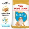 ROYAL CANIN BULLDOG JUNIOR - Angol Bulldog kölyök kutya száraz táp  (12 kg)