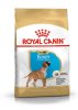 ROYAL CANIN BOXER JUNIOR - Boxer kölyök kutya száraz táp  (3 kg)