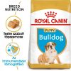ROYAL CANIN BULLDOG JUNIOR - Angol Bulldog kölyök kutya száraz táp  (3 kg)