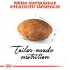 ROYAL CANIN PERSIAN ADULT - Perzsa felnőtt macska száraz táp  (0,4 kg)