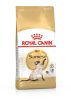 ROYAL CANIN SIAMESE ADULT - Sziámi felnőtt macska száraz táp  (2 kg)