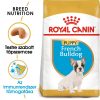 ROYAL CANIN FRENCH BULLDOG JUNIOR - Francia Bulldog kölyök kutya száraz táp  (1 kg)