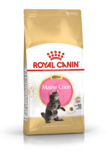 ROYAL CANIN MAINE COON KITTEN - Maine Coon kölyök macska száraz táp (0,4 kg)