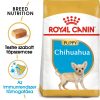 ROYAL CANIN CHIHUAHUA JUNIOR - Csivava kölyök kutya száraz táp  (0,5 kg)