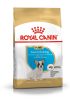 ROYAL CANIN FRENCH BULLDOG JUNIOR - Francia Bulldog kölyök kutya száraz táp  (3 kg)