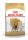ROYAL CANIN DACHSHUND ADULT - Tacskó felnőtt kutya száraz táp  (7,5 kg)