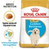 ROYAL CANIN GOLDEN RETRIEVER PUPPY - Golden Retriever klyök kutya száraz táp (3 kg)