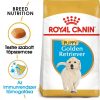 ROYAL CANIN GOLDEN RETRIEVER PUPPY 12kg Száraz kutyatáp