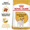 ROYAL CANIN JACK RUSSELL TERRIER ADULT -  Jack Russell Terrier felnőtt kutya száraz táp (0,5 kg)