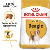 ROYAL CANIN BEAGLE ADULT - Beagle felnőtt kutya száraz táp  (12 kg)