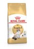 ROYAL CANIN RAGDOLL ADULT - Ragdoll felnőtt macska száraz táp (0,4 kg)
