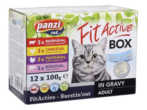 Panzi FitActive FITABOX macska 12x100g 