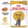 ROYAL CANIN BRITISH SHORTHAIR ADULT - Brit rövidszörű felnőtt macska nedves táp (12*85g)