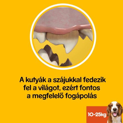 Pedigree DentaStix 180g