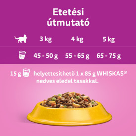 Whiskas 14kg Csirkével száraztáp felnőtt macskák számára