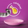 Whiskas 14kg Junior száraztáp kölyökcicák számára csirkével