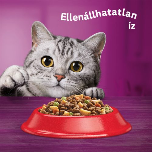 Whiskas 14kg Marhás száraztáp felnőtt macskák számára