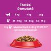 Whiskas 14kg Marhás száraztáp felnőtt macskák számára