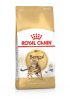 ROYAL CANIN BENGAL ADULT - Bengáli felnőtt macska száraz táp  (0,4 kg)