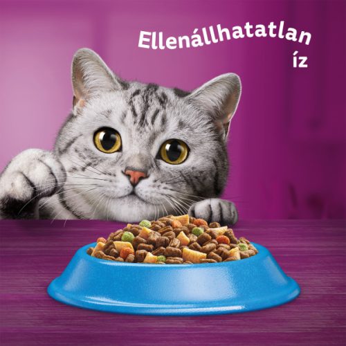 Whiskas 14kg Tonhalas száraztáp felnőtt macskák számára