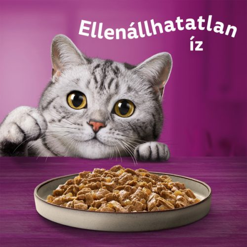 Whiskas 4x85g Pure Delight Zamatos falatkák aszpikban DD06W/DG82E/FD17F