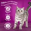 Whiskas 4x85g Tasty Mix Creamy krémes kreációk mártásban DC22D