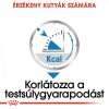 ROYAL CANIN LIGHT WEIGHT CARE - nedves táp hízásra hajlamos felnőtt kutyák részére (12*85g)