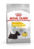 ROYAL CANIN MINI DERMACOMFORT - száraz táp bőrirritációra hajlamos, kistestű felnőtt kutyák részére (3 kg)