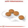 ROYAL CANIN MINI DERMACOMFORT 3kg Száraz kutyatáp