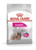 ROYAL CANIN MINI EXIGENT 1kg Száraz kutyatáp