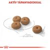 ROYAL CANIN MINI STERILISED 3kg Száraz kutyatáp