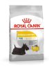 ROYAL CANIN MINI DERMACOMFORT - száraz táp bőrirritációra hajlamos, kistestű felnőtt kutyák részére (8 kg)