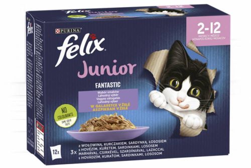 Félix 12x85g Fantastic Junior