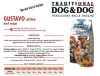 Dog&Dog Marha Száraz Kutyatáp 20kg