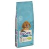 Dog Chow 14kg Puppy Bárány