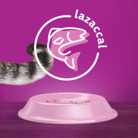Whiskas száraz 1,4kg Steril Lazac