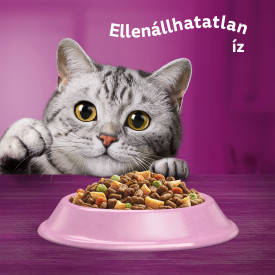 Whiskas száraz 1,4kg Lazac