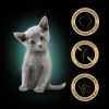 Sheba Kitten Vegyes választék Mártásban Alutasakos macskaeledel 4x85g