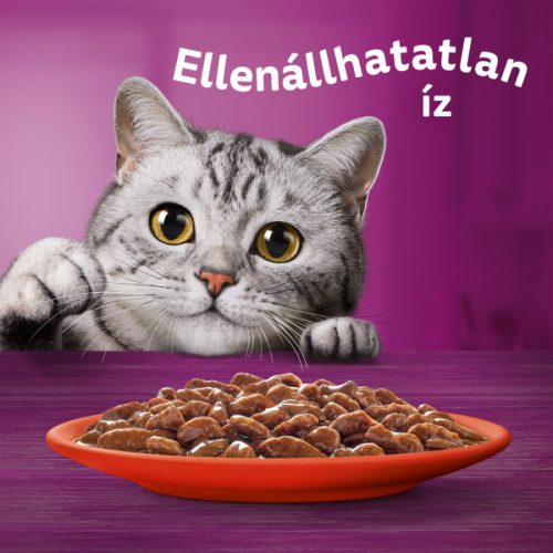 Whiskas 28x85g alutasakos macskaeledel marhahússal mártásban