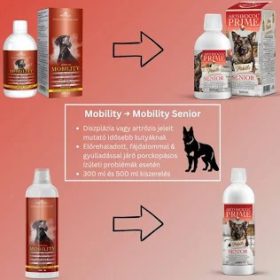   Arthrocol Mobility Senior Komplex ízület- és porcerősítő tápkiegészítő kutyáknak 300ml