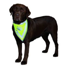   Trixie Safety Neckerchief - Fényvisszaverős kutyakendő S-M (29-42cm)
