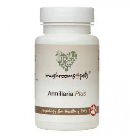 Armilliaria Plus 500mg 60db