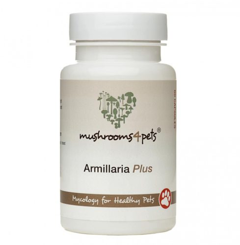Armilliaria Plus 500mg 60db
