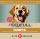 FEEDFULL Dog 1240g kutyakonzerv Baromfival