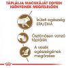 ROYAL CANIN AGEING 12+ GRAVY - idős macska szószos nedves táp  (12*85g)