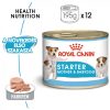 ROYAL CANIN SHN WET STARTER MOUSSE 12x195g Alutasakos kutyaeledel